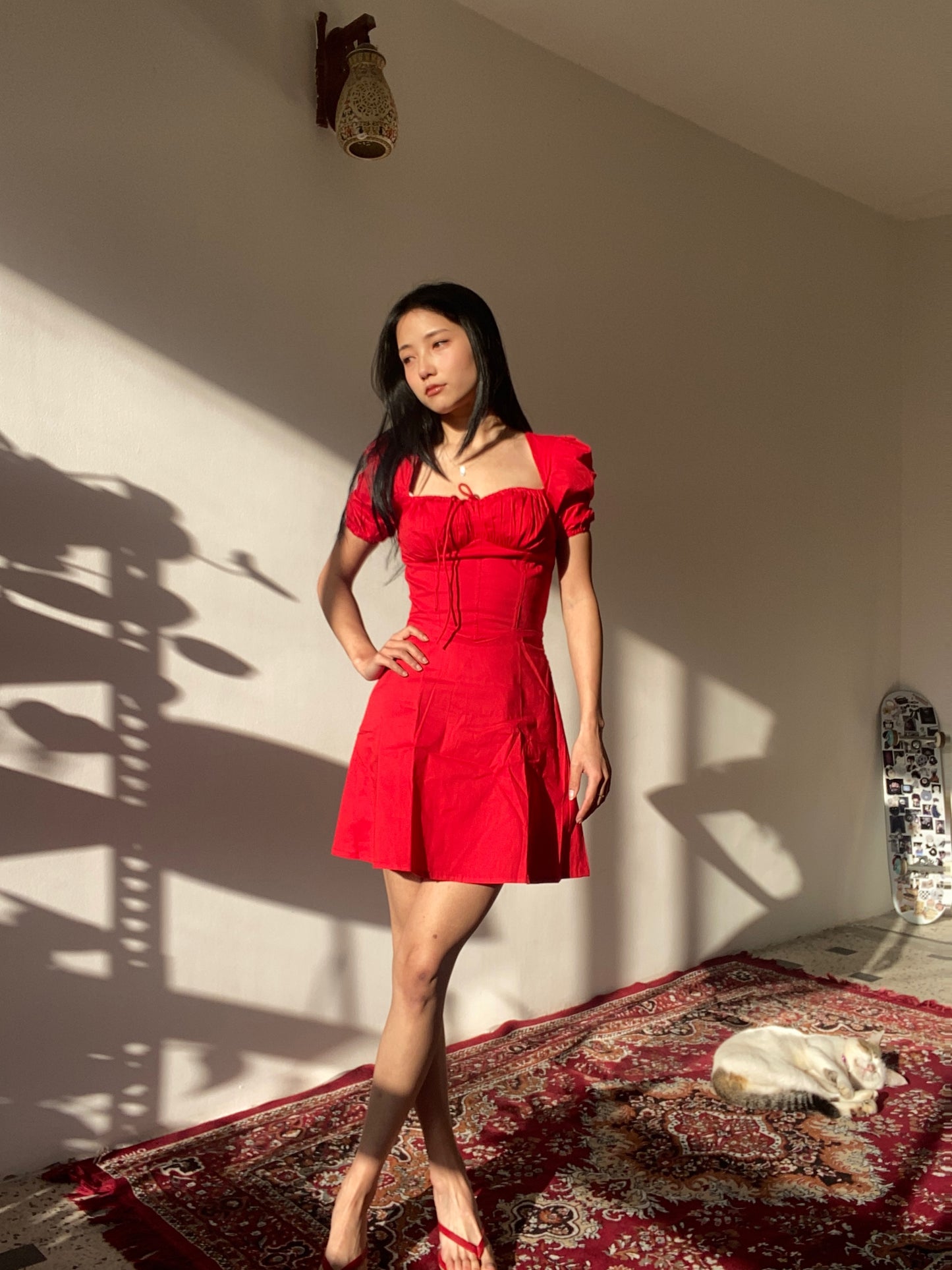 Dahlia Red Rose Corset Mini Dress
