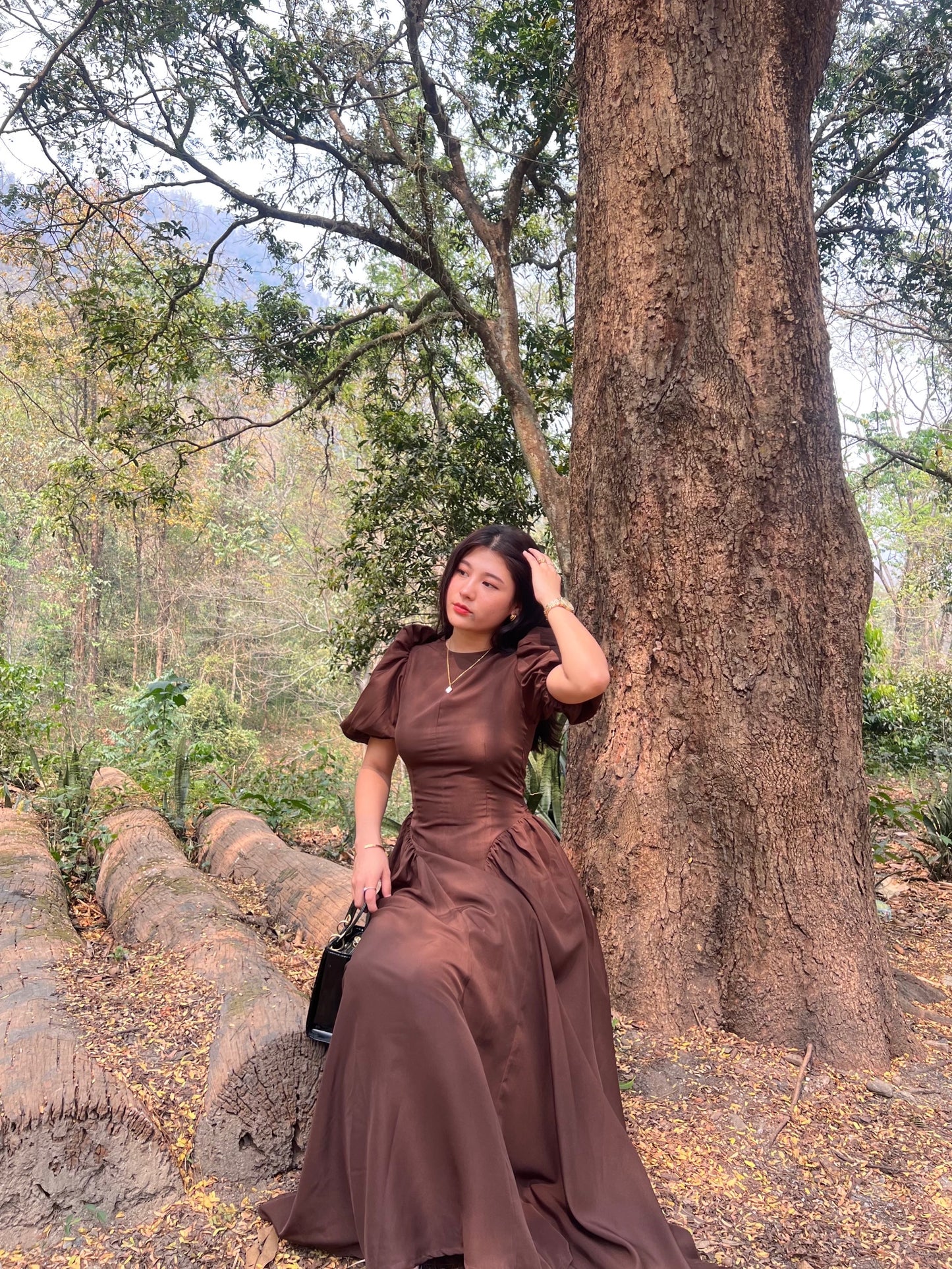 Sophia Brown Sundress