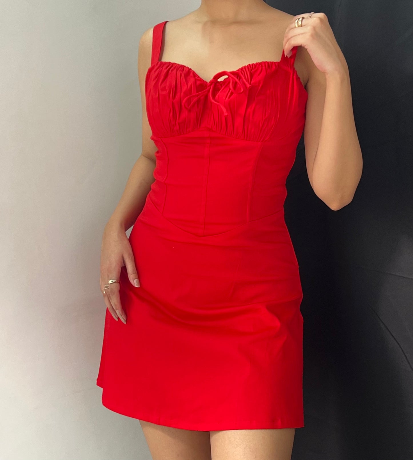 Matilda Red Rose Corset Mini Dress