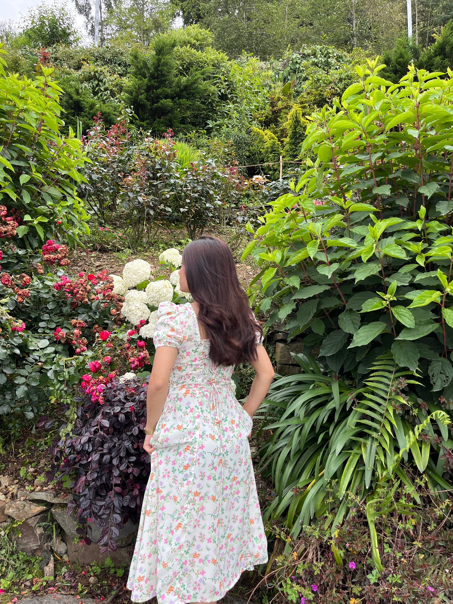 Isabella Floral Bustier Sundress
