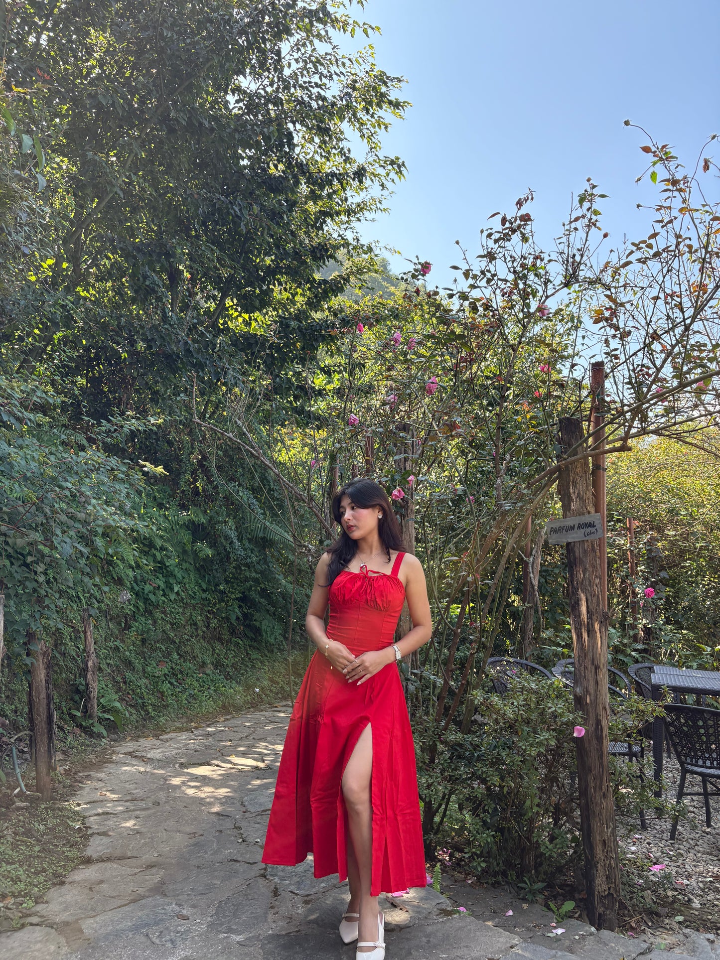 Sabrina Red Rose Bustier Sundress