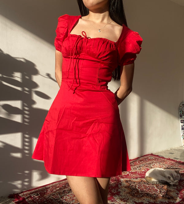 Dahlia Red Rose Corset Mini Dress
